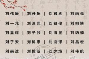 2023鼠宝宝起名:取自诗词帅气阳光的刘姓男孩名字精选