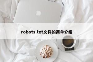 robots.txt文件的简单介绍