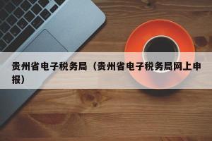 贵州省电子税务局（贵州省电子税务局网上申报）