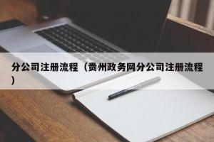 分公司注册流程（贵州政务网分公司注册流程）