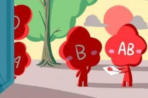 a型,b型,o型,ab型血,有什么
