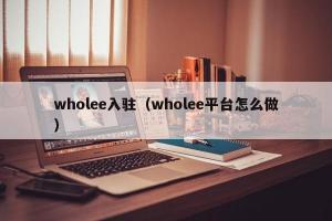 wholee入驻（wholee平台怎么做）