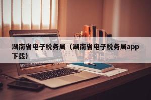 湖南省电子税务局（湖南省电子税务局app下载）