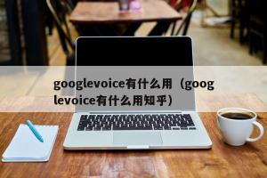googlevoice有什么用（googlevoice有什么用知乎）