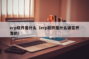 erp软件是什么（erp软件是什么语言开发的）