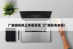 广西国税网上申报系统（广西税务申报）