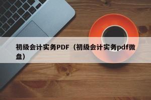 初级会计实务PDF（初级会计实务pdf微盘）