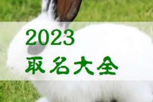 男孩起名大全2023属兔 男孩起名大全2023属兔单字