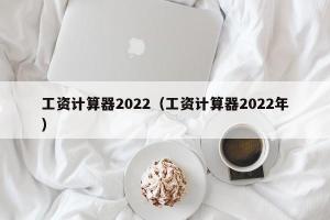 工资计算器2024（工资计算器2024年）