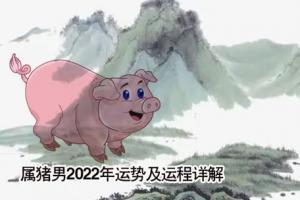猪男7月感情运势(属猪男7月出生好吗)