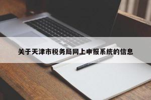 关于天津市税务局网上申报系统的信息