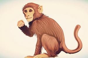 生肖猴子和什么相配 老鼠和猴子相配吗