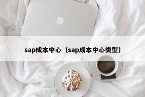 sap成本中心（sap成本中心类型）
