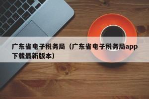 广东省电子税务局（广东省电子税务局app下载最新版本）