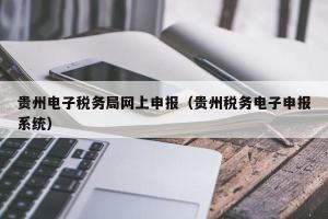贵州电子税务局网上申报（贵州税务电子申报系统）