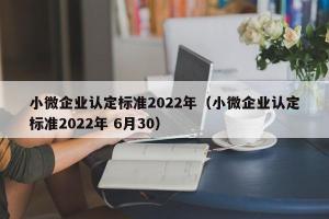 小微企业认定标准2024年（小微企业认定标准2024年 6月30）