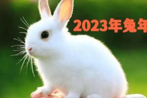 2023猪宝宝起名 2023年猪宝宝取名宜用字