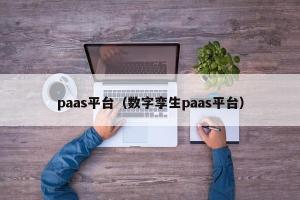 paas平台（数字孪生paas平台）