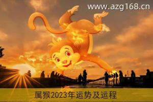 属猴人未来十年运势 属猴未来十年运势预测