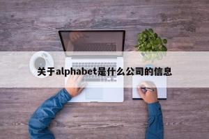 关于alphabet是什么公司的信息