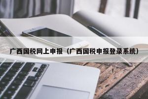 广西国税网上申报（广西国税申报登录系统）