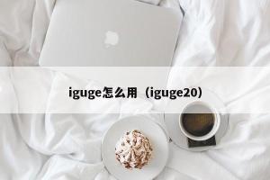 iguge怎么用（iguge20）