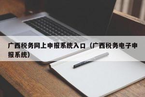 广西税务网上申报系统入口（广西税务电子申报系统）