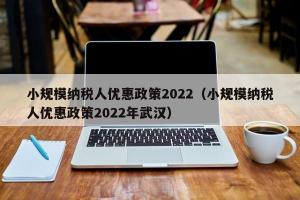 小规模纳税人优惠政策2024（小规模纳税人优惠政策2024年武汉）