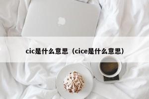 cic是什么意思（cice是什么意思）