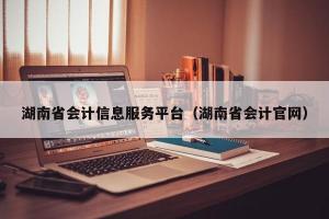 湖南省会计信息服务平台（湖南省会计官网）