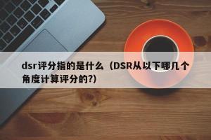 dsr评分指的是什么（DSR从以下哪几个角度计算评分的?）