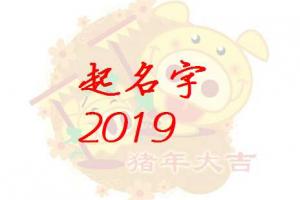 2023属猪起名刘 2023年属猪