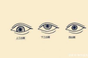 所谓的三白眼或者是四白眼,就是指黑眼珠长得比较小,而四周的眼白却