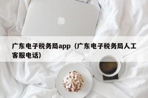 广东电子税务局app（广东电子税务局人工客服电话）