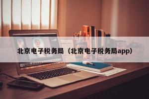 北京电子税务局（北京电子税务局app）