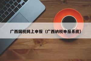 广西国税网上申报（广西纳税申报系统）