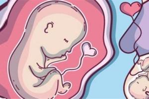 报恩胎儿孕妇面相,报恩胎儿有哪些征兆