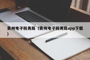 贵州电子税务局（贵州电子税务局app下载）