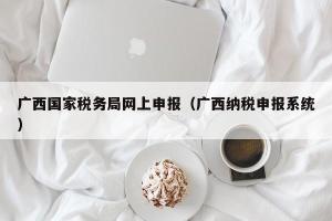 广西国家税务局网上申报（广西纳税申报系统）