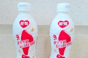 银鹭花生牛奶 复合蛋白饮品 450ml 15瓶/箱