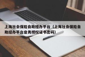 上海社会保险自助经办平台（上海社会保险自助经办平台业务授权证书密码）