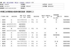 江西一县政府官网泄露低保对象身份证号 最早可追溯至8年前