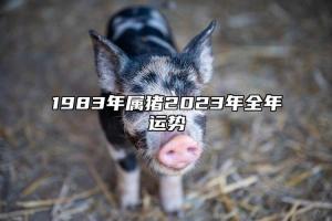 83年属猪今年运势(83年今年运势财运)