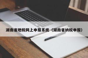 湖南省地税网上申报系统（湖南省纳税申报）