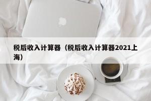 税后收入计算器（税后收入计算器2024上海）