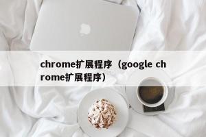 chrome扩展程序（google chrome扩展程序）