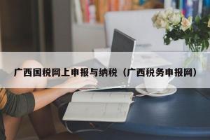 广西国税网上申报与纳税（广西税务申报网）