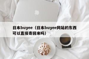 日本buyee（日本buyee网站的东西可以直接寄回来吗）