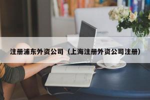 注册浦东外资公司（上海注册外资公司注册）
