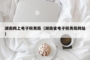 湖南网上电子税务局（湖南省电子税务局网站）